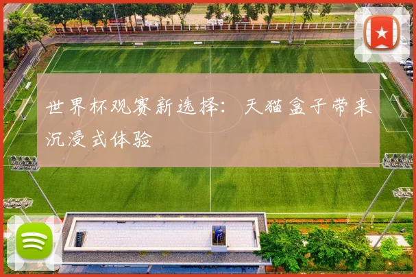 世界杯观赛新选择:天猫盒子带来沉浸式体验