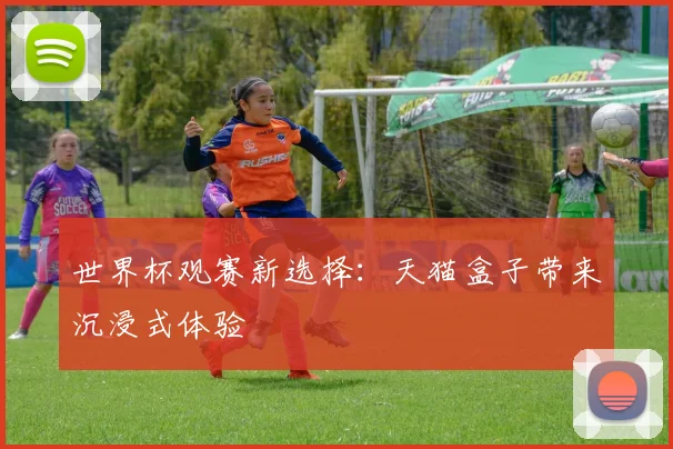 世界杯观赛新选择：天猫盒子带来沉浸式体验